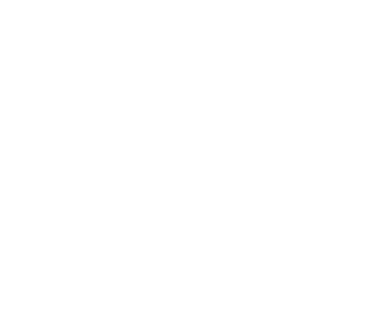Olam logo